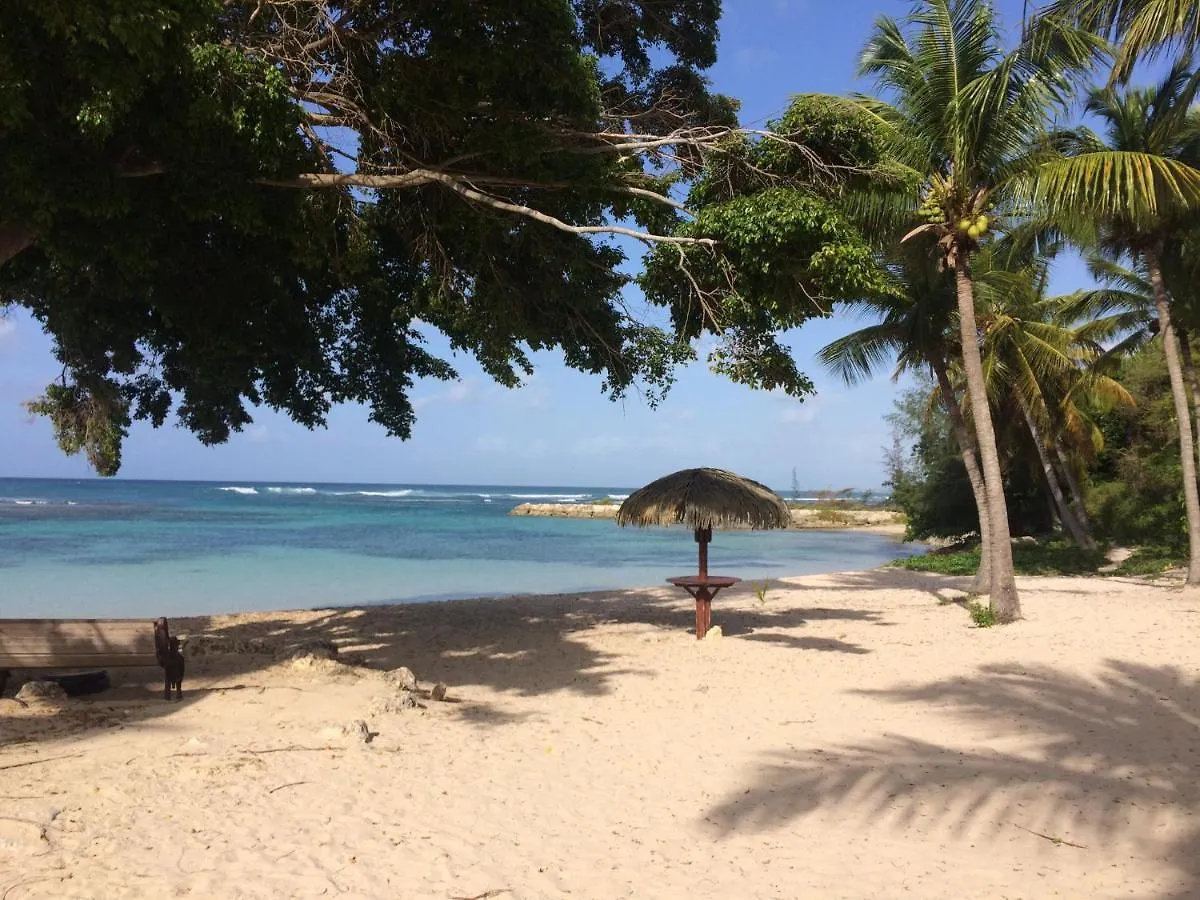 Creolys 971 - Studio Passion Des Iles - Anse Des Rochers Saint-Francois  0*, Saint-Francois (Grande-Terre)